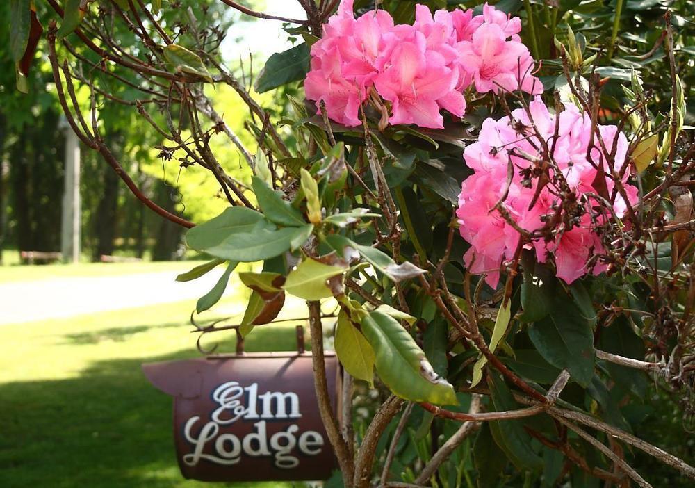 Elm Lodge Брайт Экстерьер фото